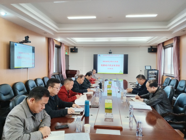 乐虎集团常德公司召开2022年度党委班子民主生活会